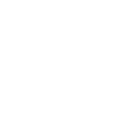 Agent Agency Logo